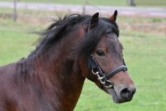 DSC_0119